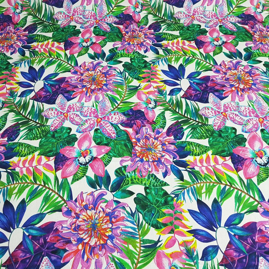 2K Gallery - Bright Tropics