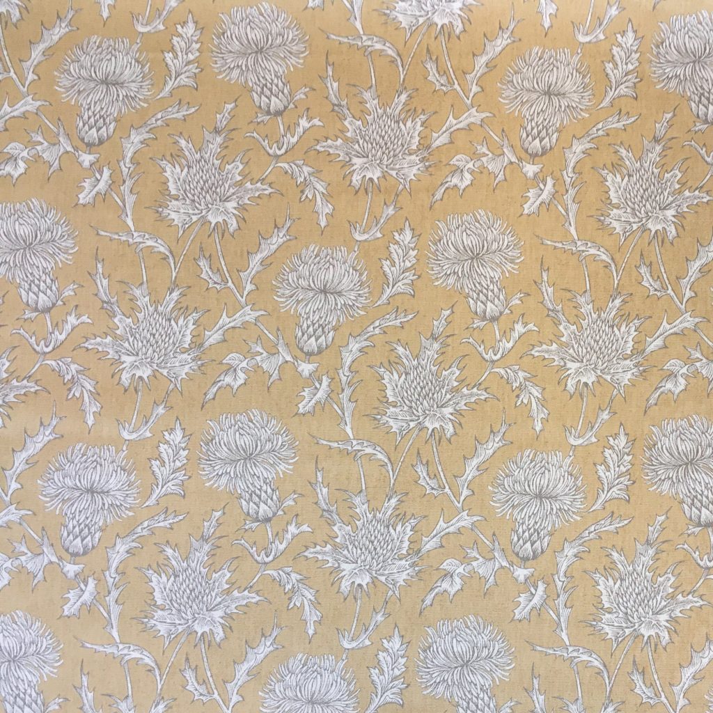 2K Gallery - Mustard Yellow Thistle