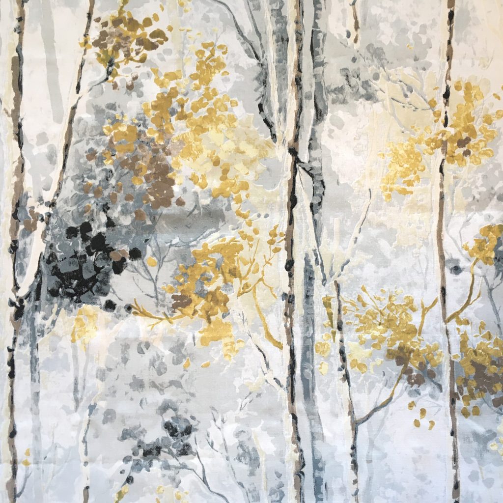 2K Gallery - Silver Birch