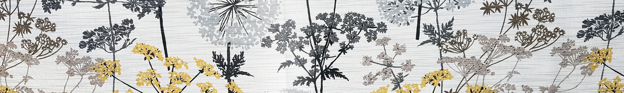 Banner 300 - Cow Parsley