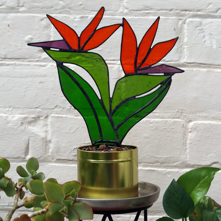Stained Glass Bird of Paradise Plant