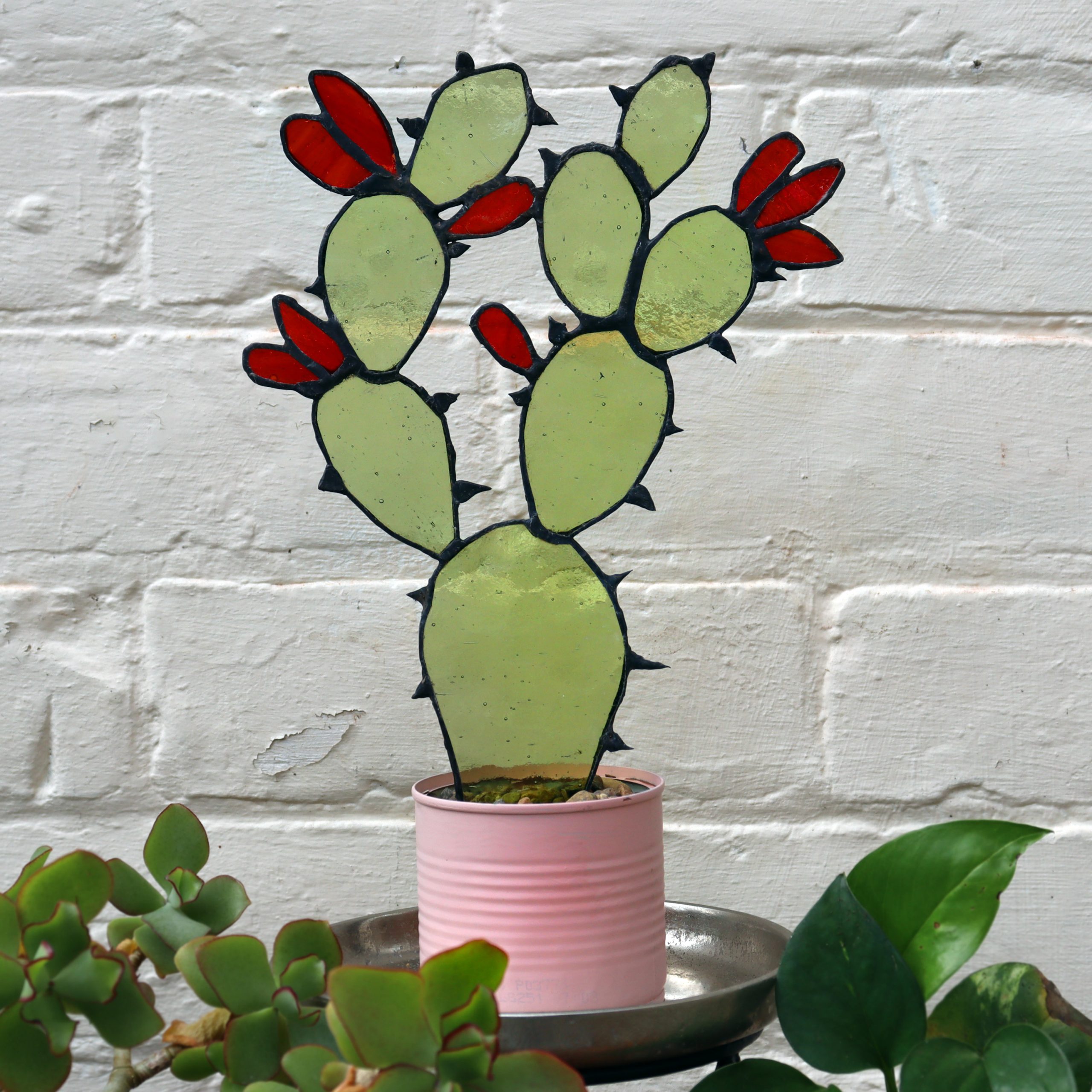 Stained Glass Flowering Cactus Plant
