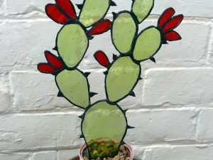 Stained Glass Flowering Cactus Plant