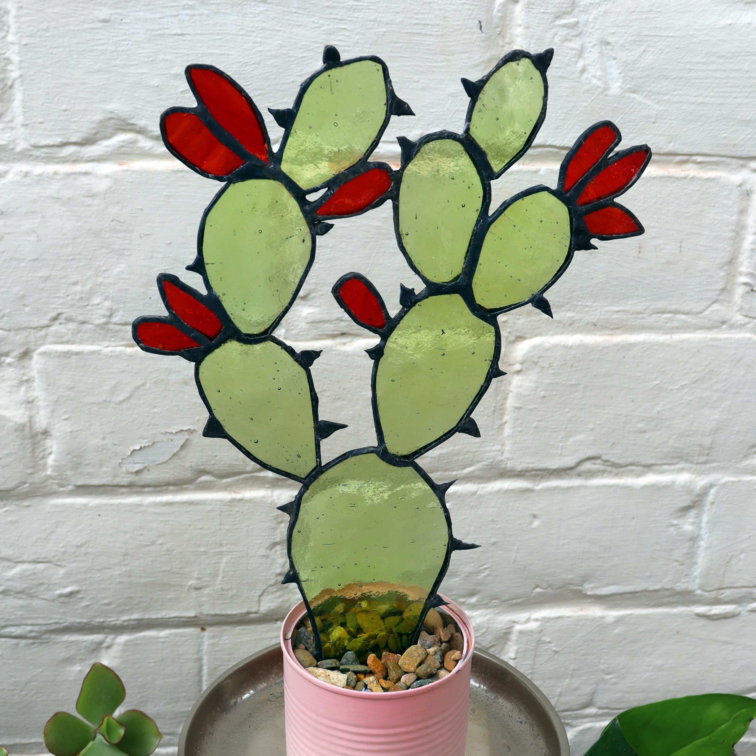 Stained Glass Flowering Cactus Plant