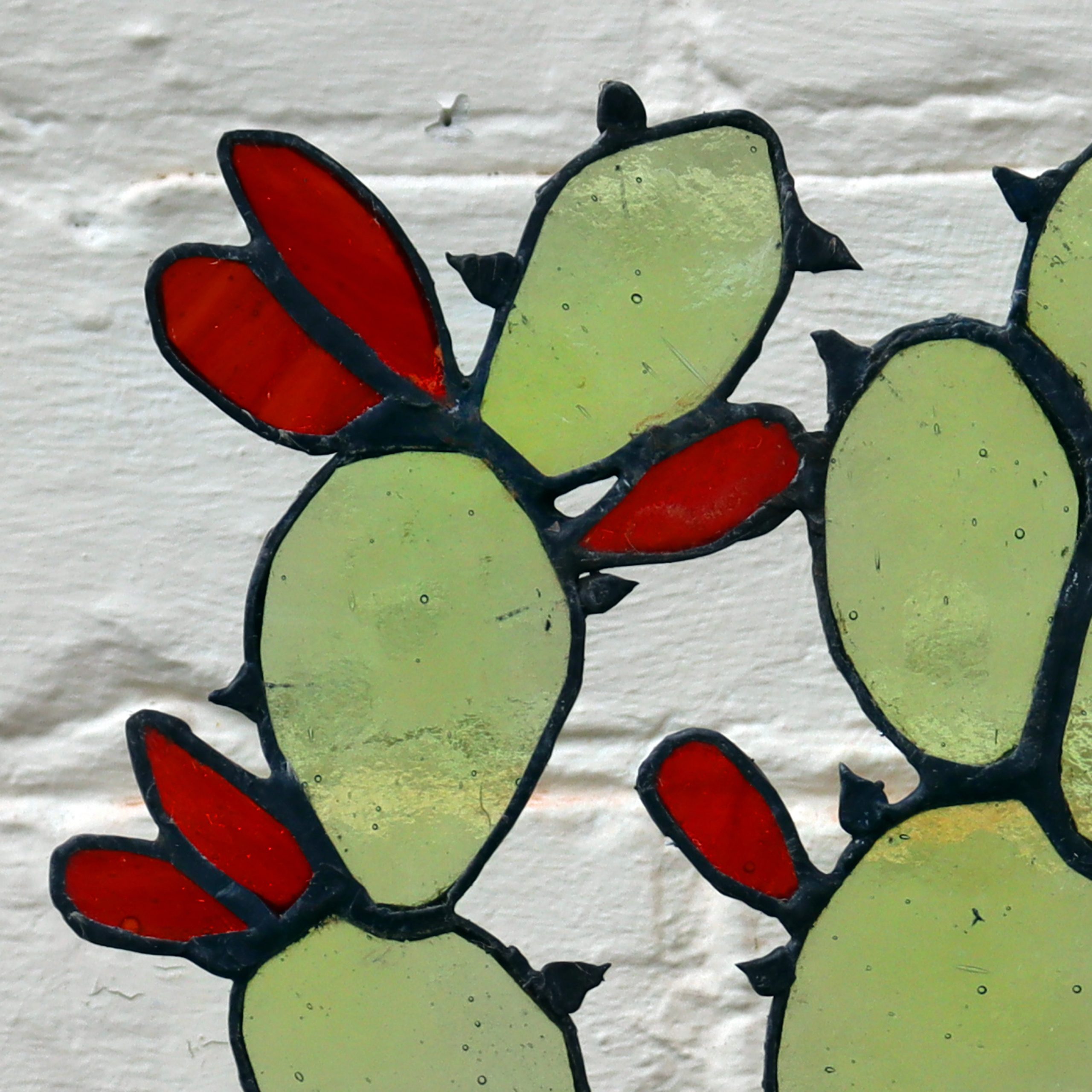 Stained Glass Flowering Cactus Plant