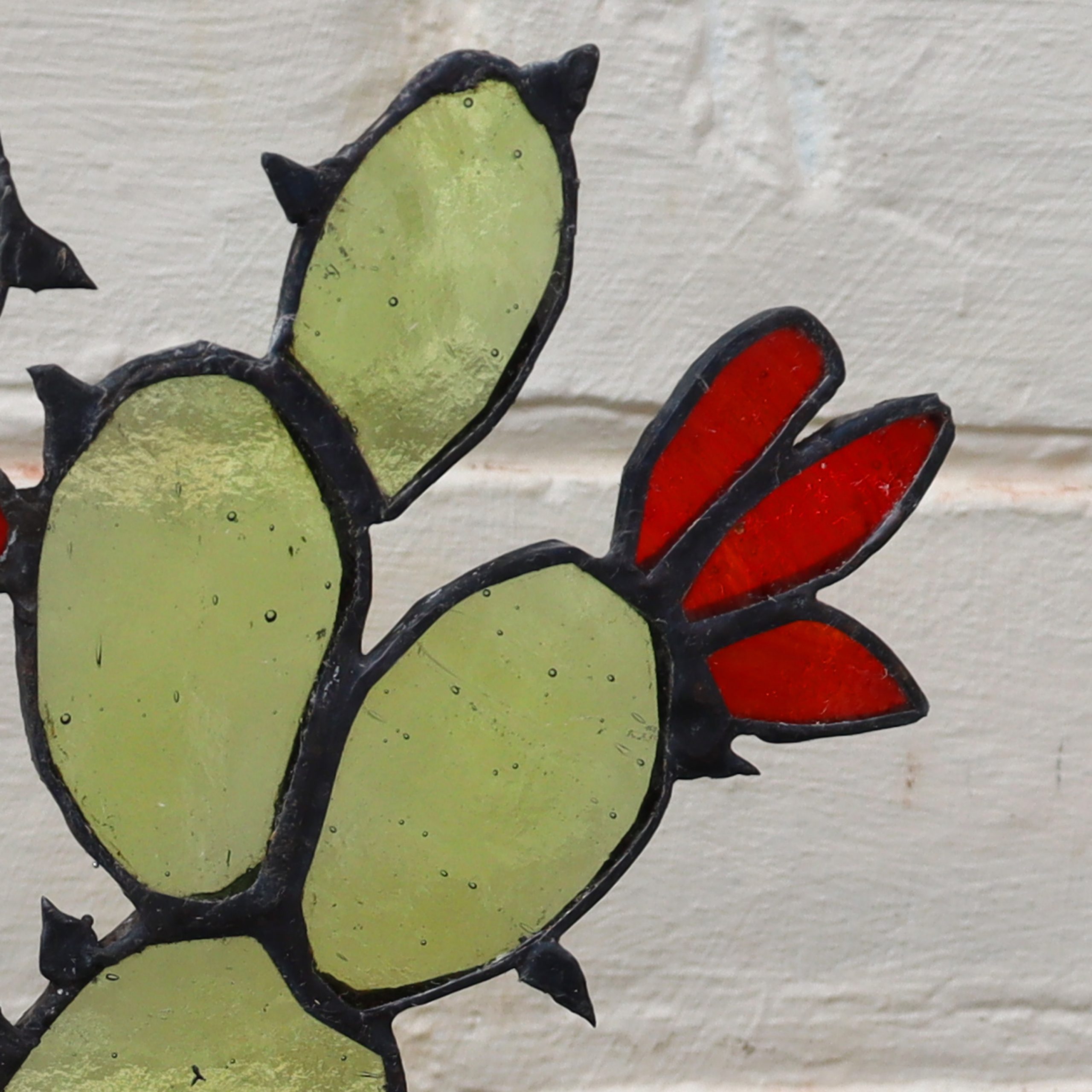 Stained Glass Flowering Cactus Plant